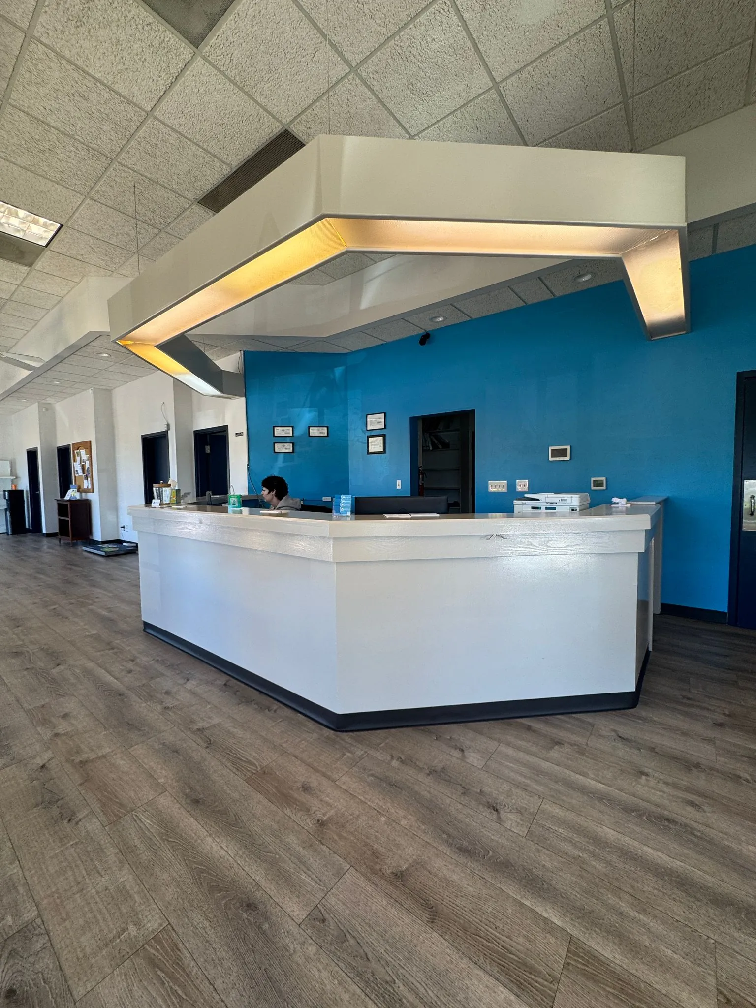 Veterinary clinic reception area with modern design, blue accent wall, and staff member at the front desk, emphasizing pet care and wellness services.