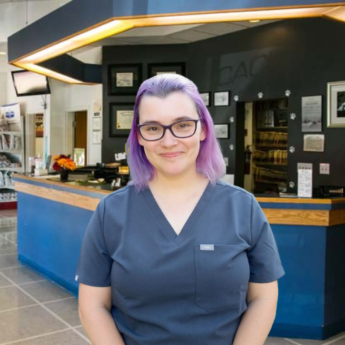 Dr. Catarina Steele, DVM - Veterinary staff member with purple hair and glasses in scrubs, standing in front of Acacia Pet Clinic's reception area, emphasizing the clinic's welcoming environment and dedicated team.