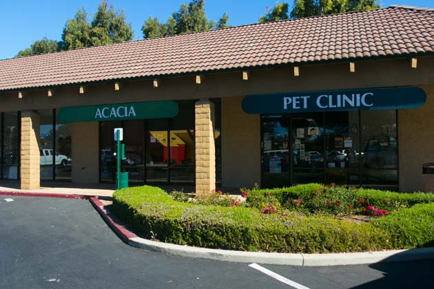 Fachada de Acacia Pet Clinic en San José, CA, con letreros visibles de 'ACACIA' y 'PET CLINIC', rodeada de áreas verdes y estacionamiento.